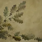Fonte Di Maroglio *
