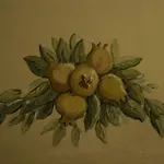 Fonte Di Maroglio *