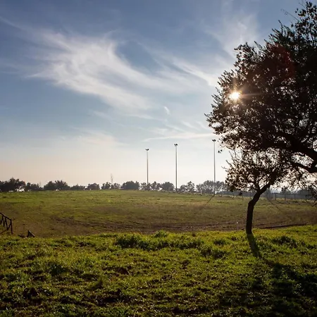Masseria Fonte Di Maroglio * 카스트로빌라리