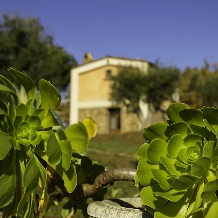 Agriturismo Masseria Fonte Di Maroglio *