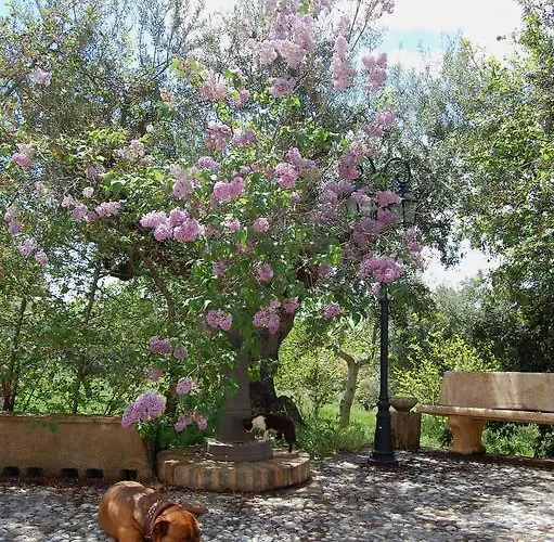Masseria Fonte Di Maroglio Farmház *