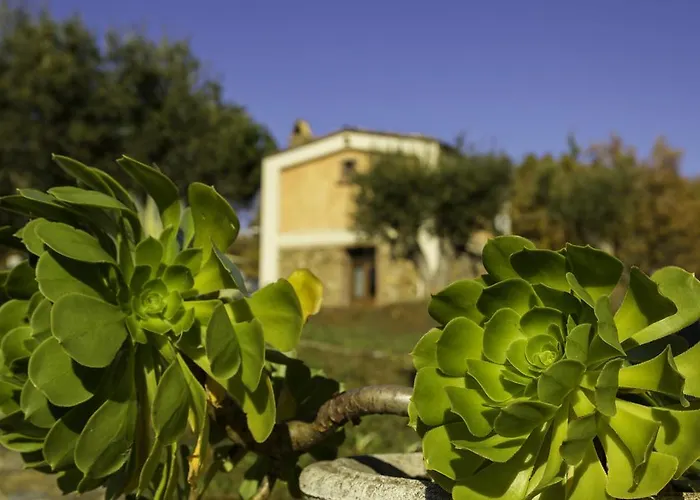 Masseria Fonte Di Maroglio *